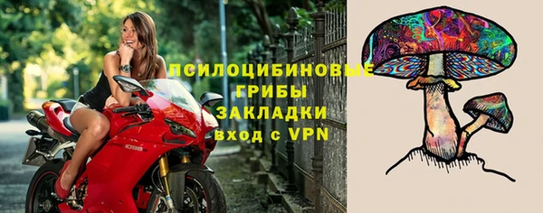 сатива Магадан