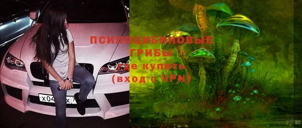 гидропоника Магас