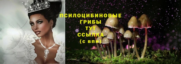 гидропоника Магас